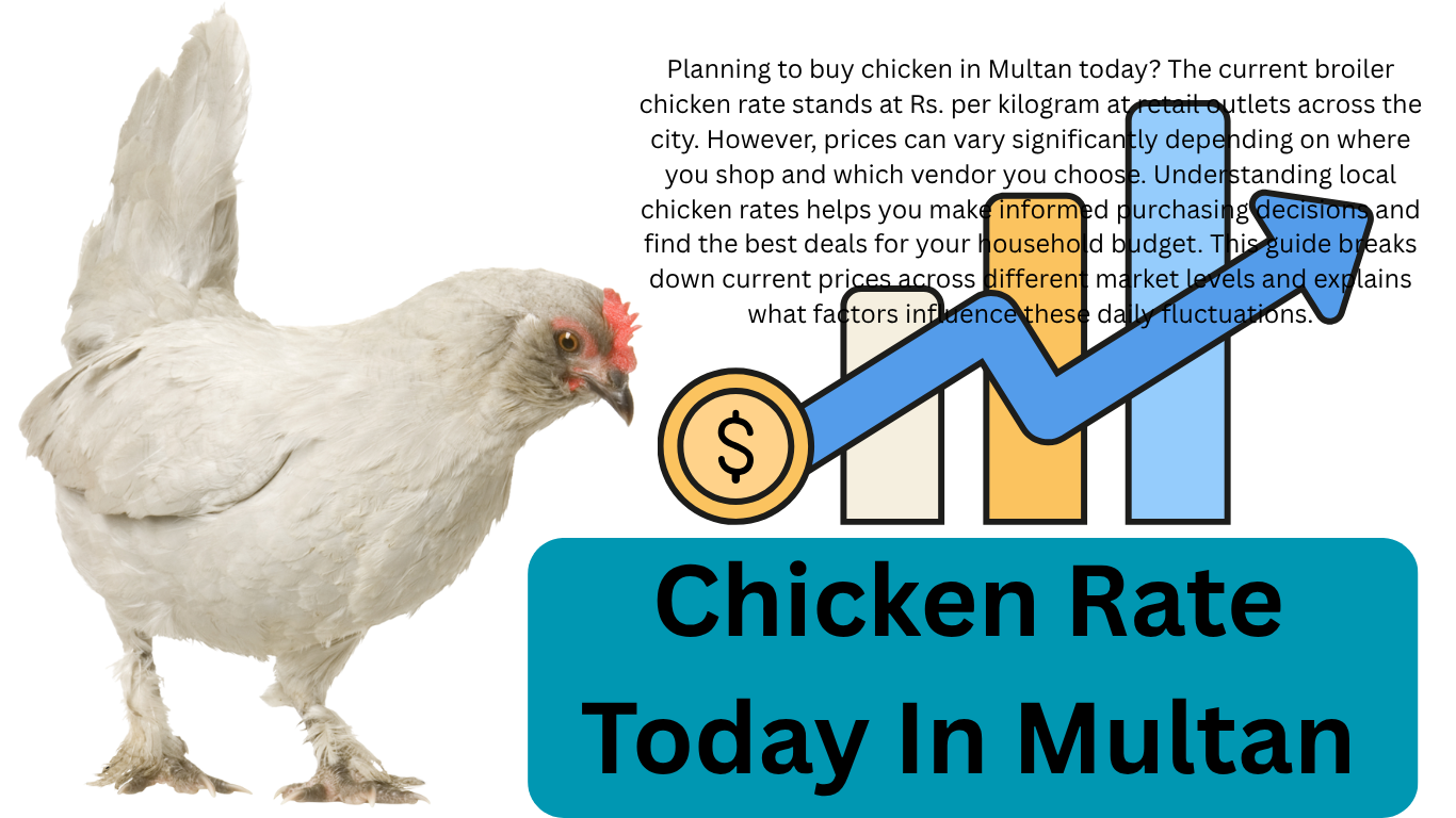 Chicken Rate Today In Multan