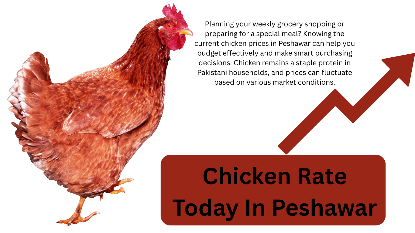 Chicken Rate Today In Peshawar