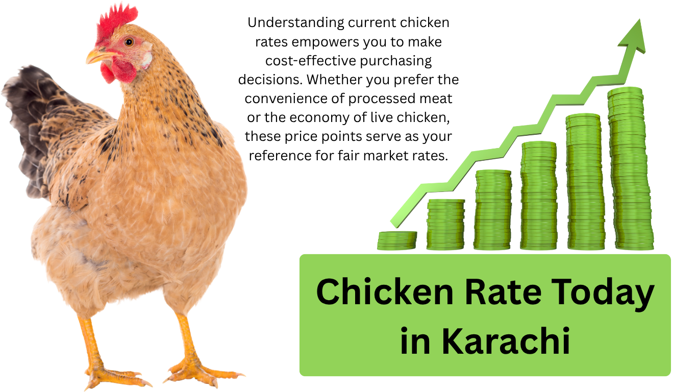 Chicken Rate Today in Karachi