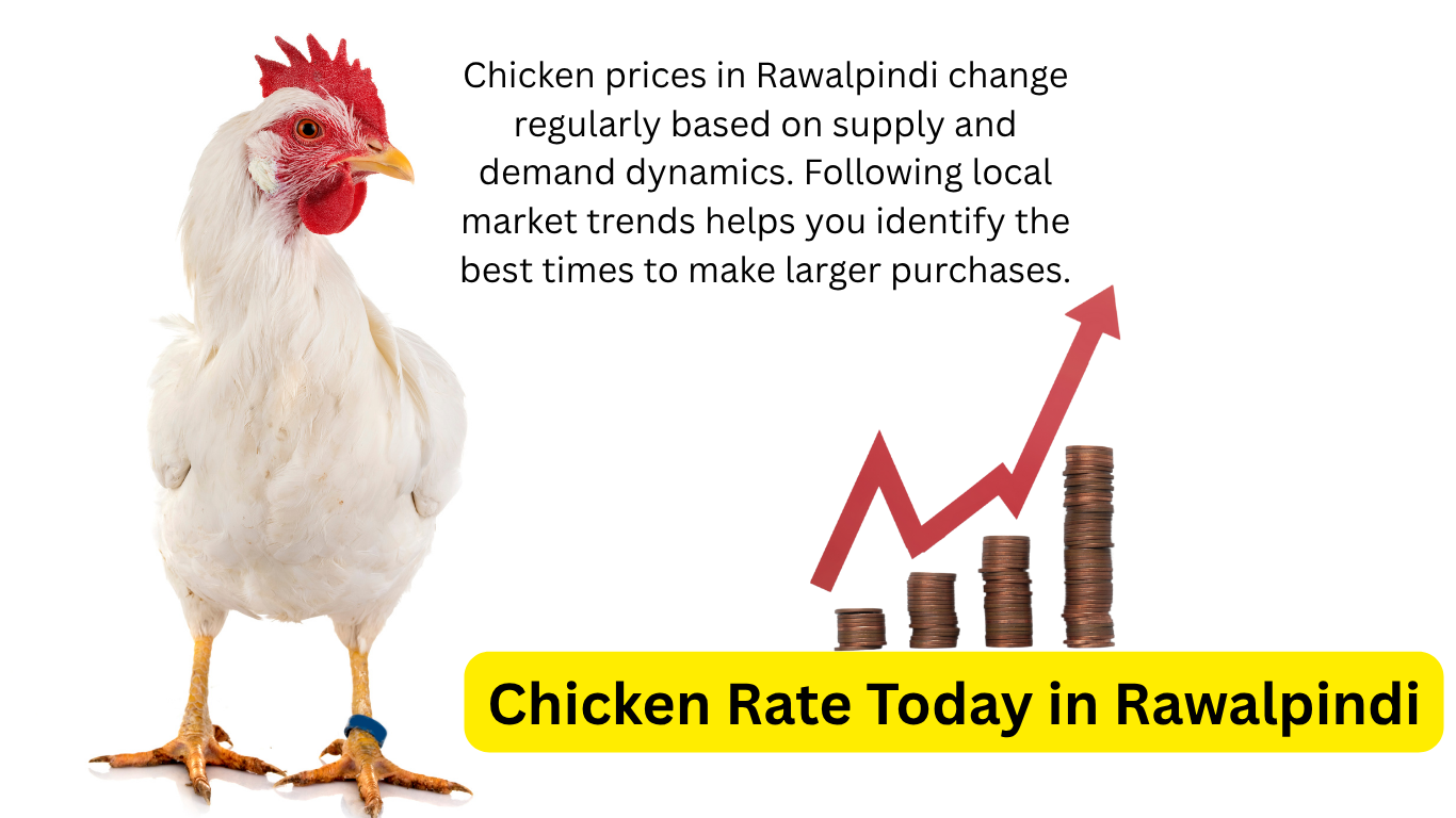 Chicken Rate Today in Rawalpindi